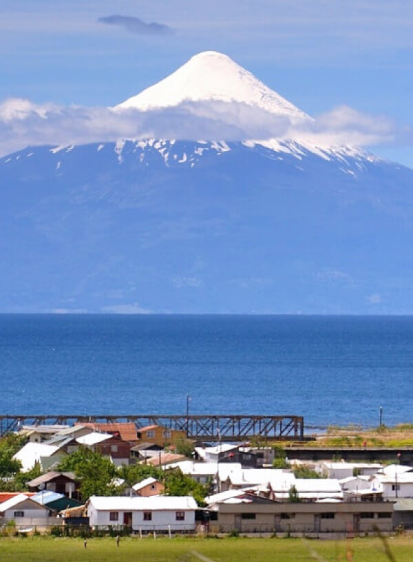 A Different Organic Experience