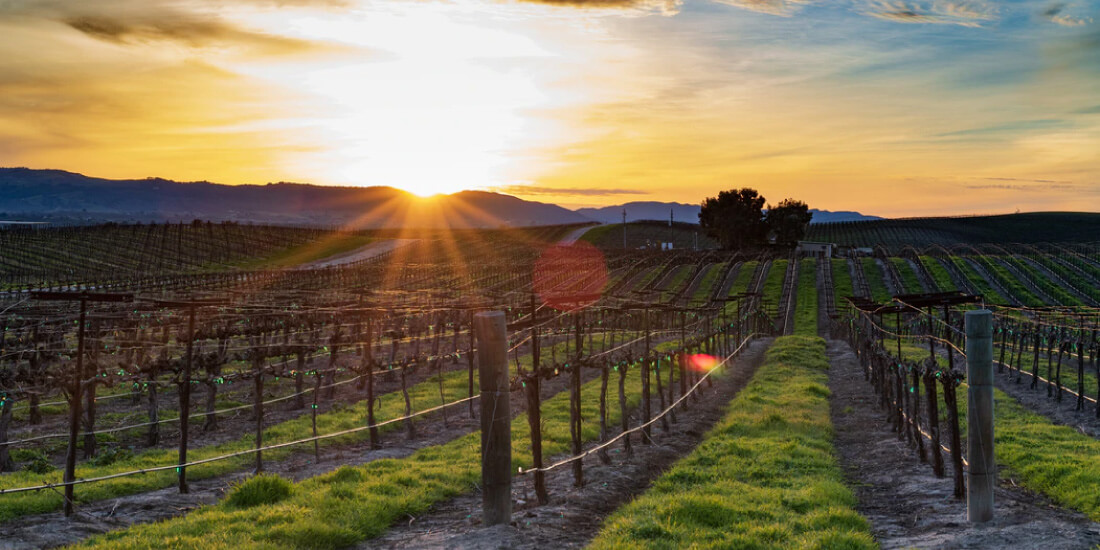 Pisco, Ica & Nazca Pisco, Ica & Nazca